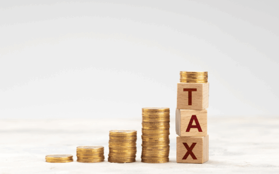 Delavnica: Prikaz funkcionalnosti portala e-davki in mobilne aplikacije eDavki