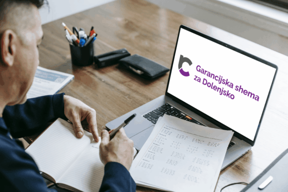 Razpis garancij in posojil iz Garancijske sheme za Dolenjsko za leto 2025
